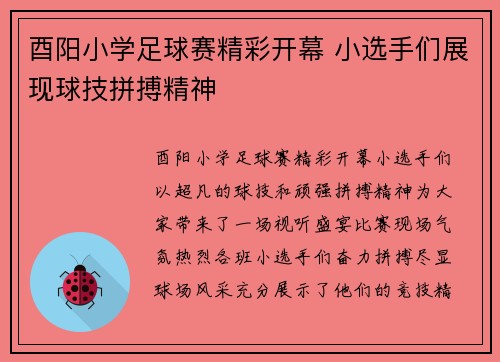 酉阳小学足球赛精彩开幕 小选手们展现球技拼搏精神