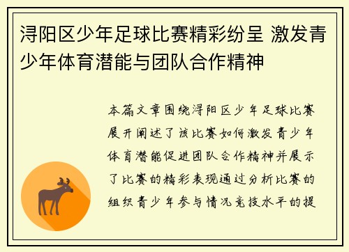 浔阳区少年足球比赛精彩纷呈 激发青少年体育潜能与团队合作精神