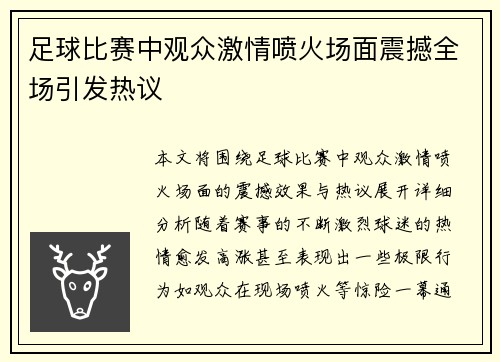 足球比赛中观众激情喷火场面震撼全场引发热议