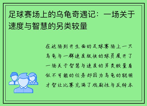 足球赛场上的乌龟奇遇记：一场关于速度与智慧的另类较量