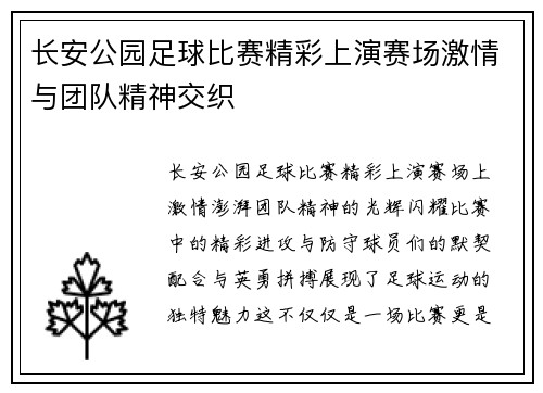 长安公园足球比赛精彩上演赛场激情与团队精神交织