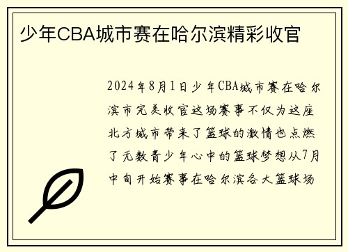 少年CBA城市赛在哈尔滨精彩收官