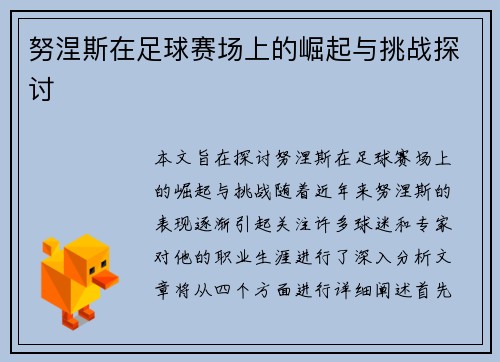 努涅斯在足球赛场上的崛起与挑战探讨