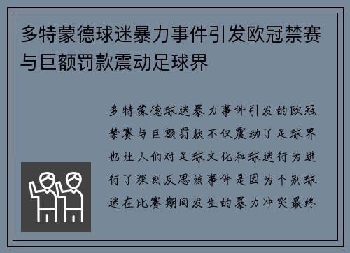 多特蒙德球迷暴力事件引发欧冠禁赛与巨额罚款震动足球界