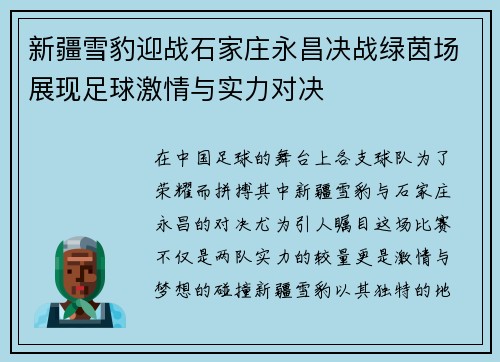 新疆雪豹迎战石家庄永昌决战绿茵场展现足球激情与实力对决