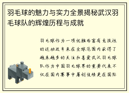 羽毛球的魅力与实力全景揭秘武汉羽毛球队的辉煌历程与成就