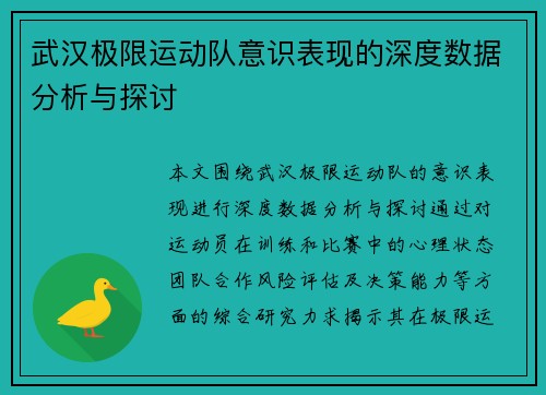 武汉极限运动队意识表现的深度数据分析与探讨